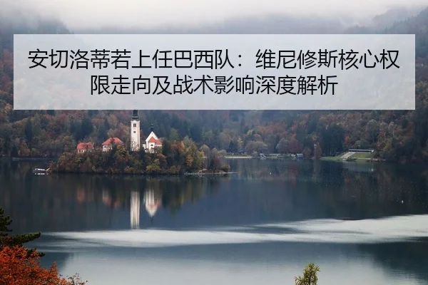 安切洛蒂若上任巴西队：维尼修斯核心权限走向及战术影响深度解析